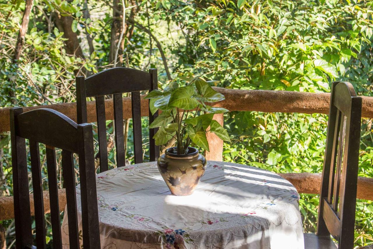 Pousada Flor De Acucena Igatu Εξωτερικό φωτογραφία