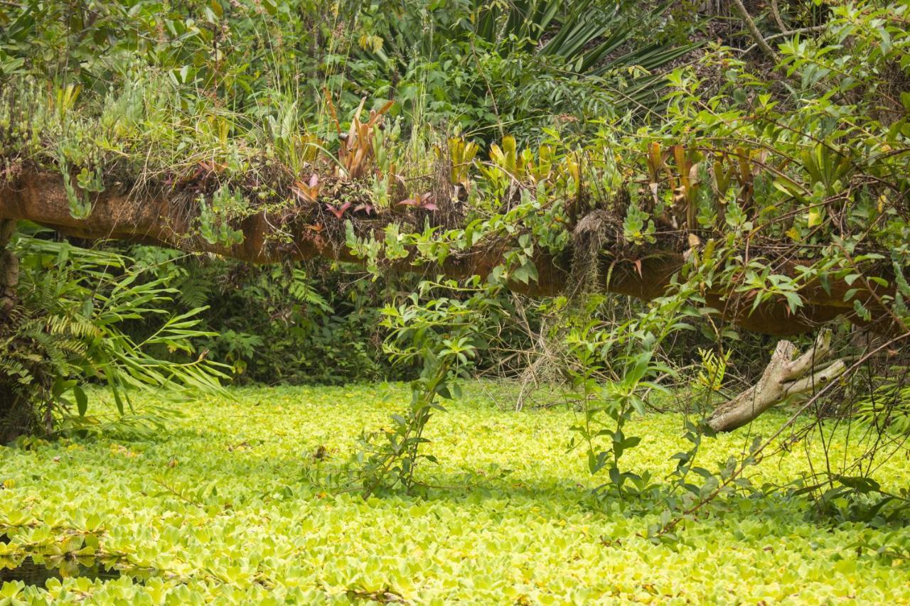 Pousada Flor De Acucena Igatu Εξωτερικό φωτογραφία